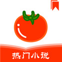 番茄热门小说app